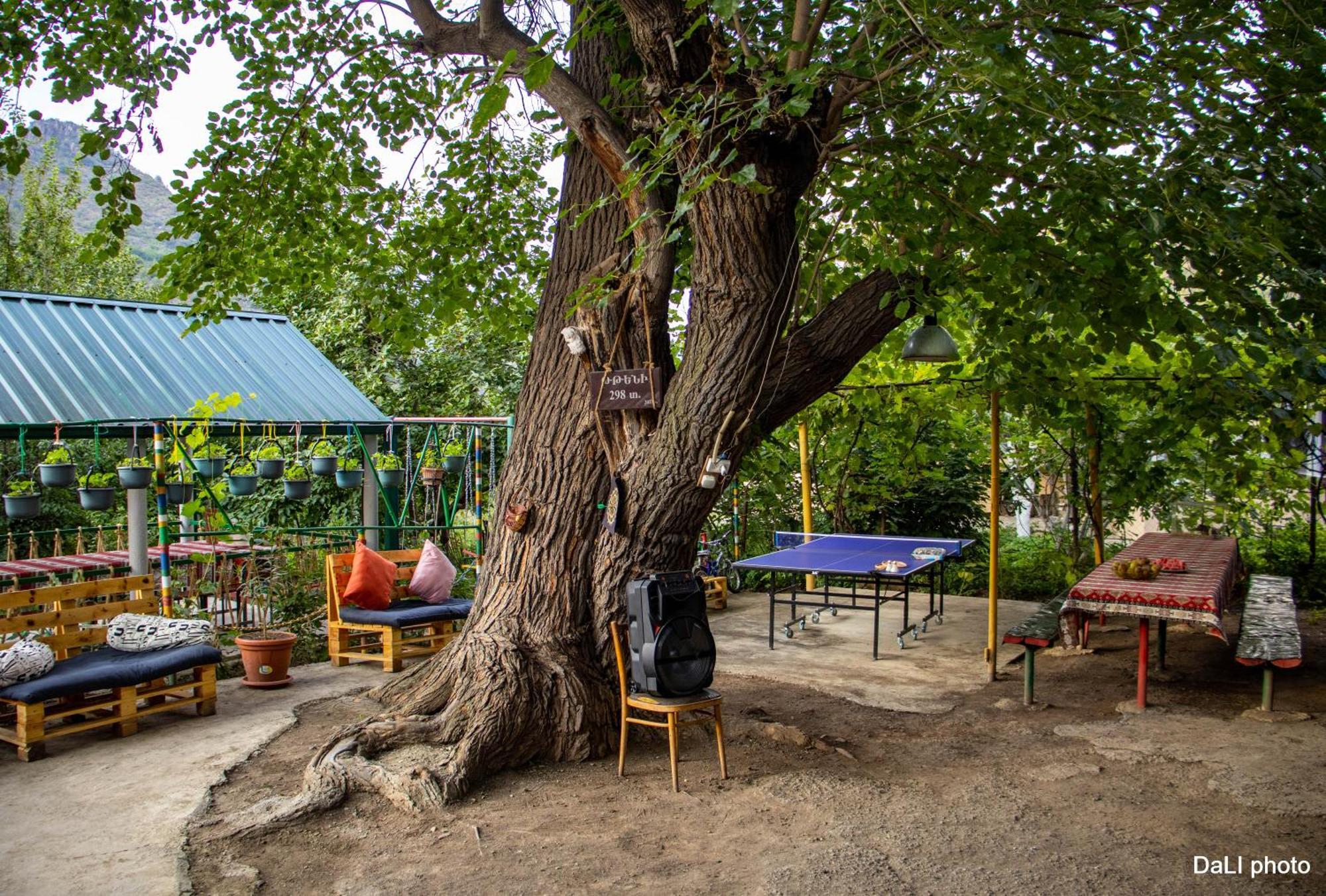 Отель Tereza Glamping Sanain Экстерьер фото